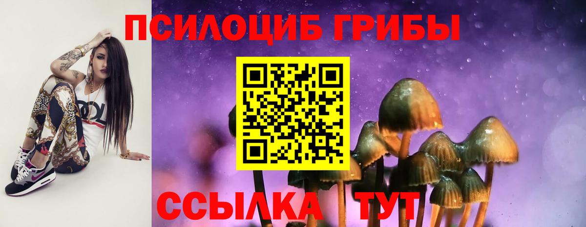 Галлюциногенные грибы мухоморы Канск